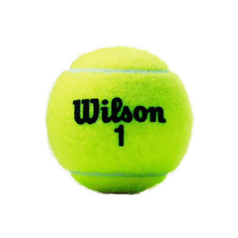 tubo-de-bola-roland-garros-all-court-wilson-ball