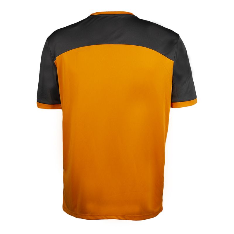 camiseta-tour-V-autumnglory-grafito-wilson-atras